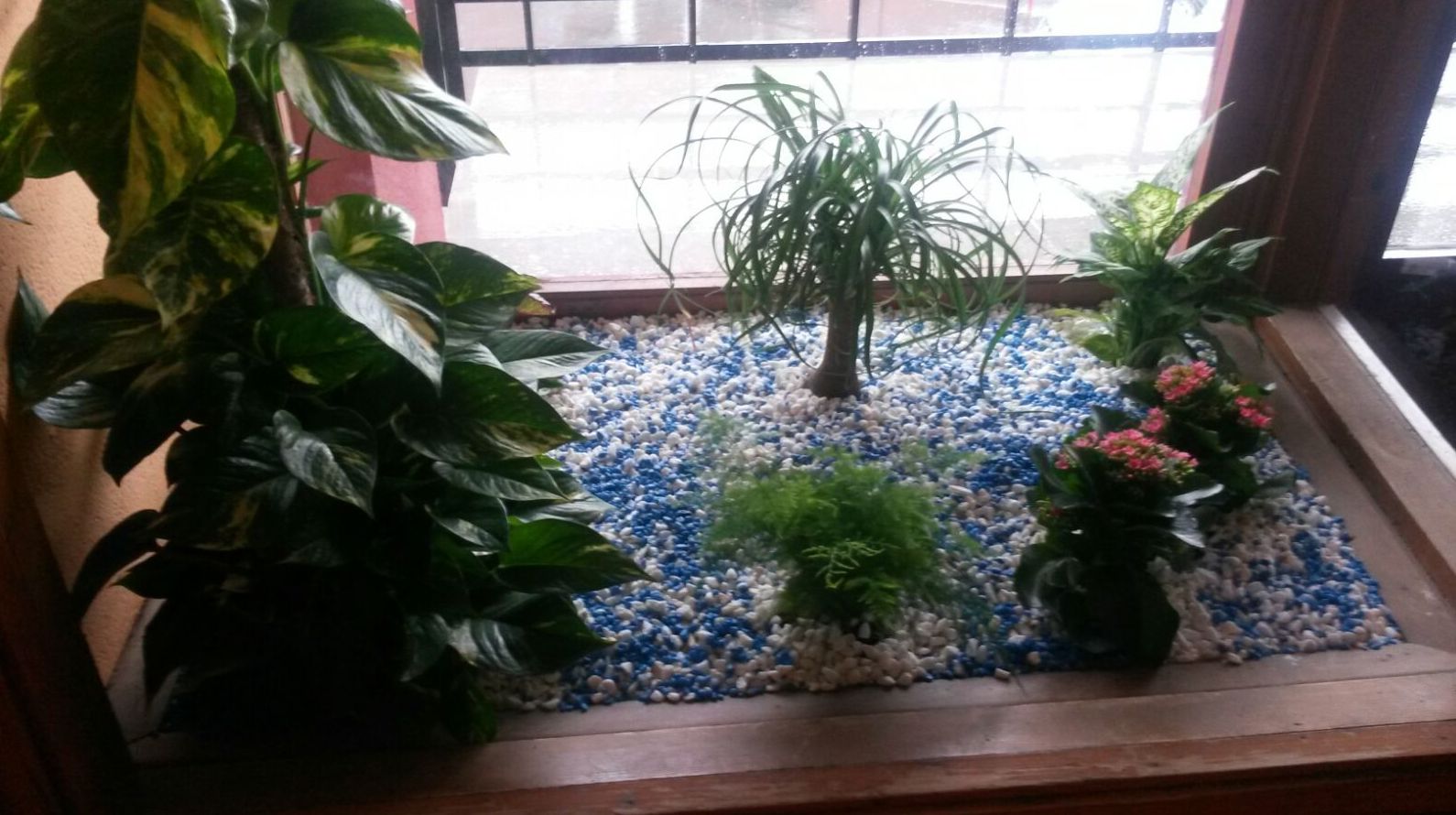 Decoración de interiores con plantas Decoración de interiores con plantas