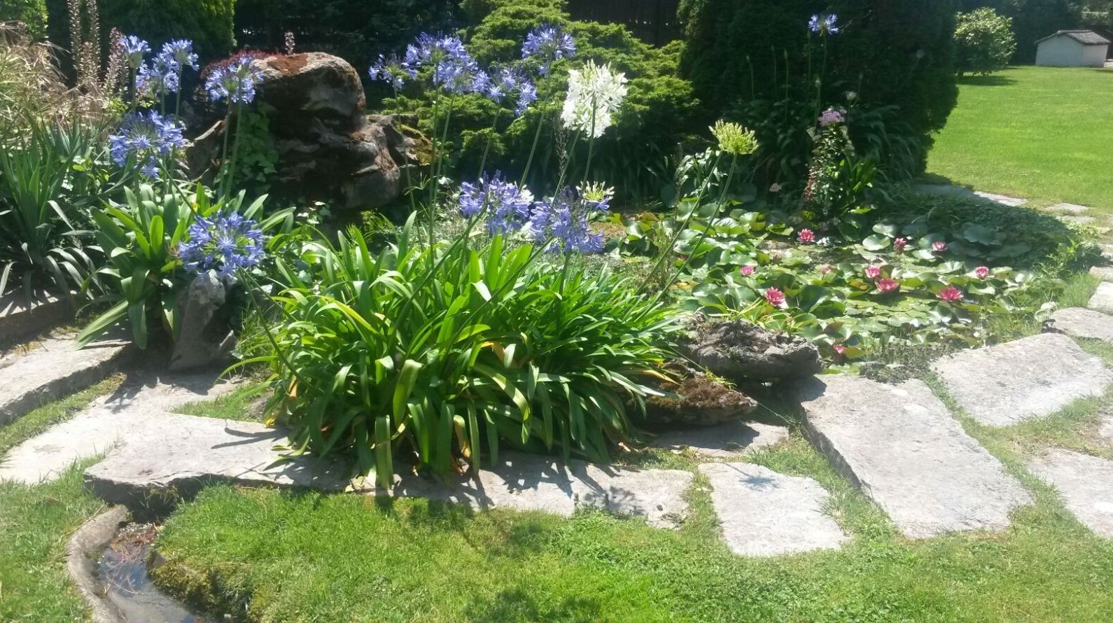 Instalaciones: Servicios de Jardinería IGLE-MAN Instalaciones: Servicios de Jardinería IGLE-MAN