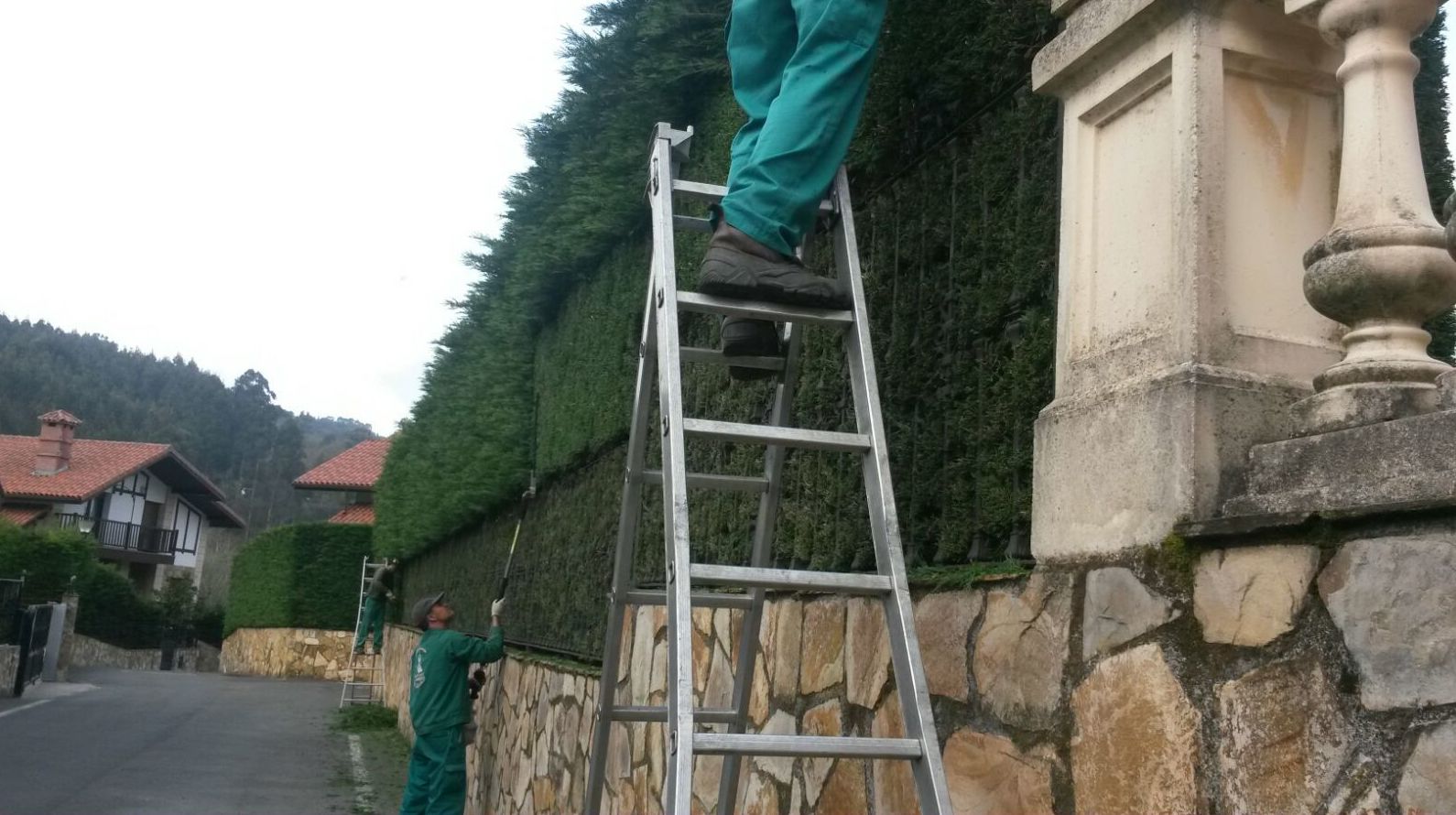 MANTENIMIENTO DE ZONAS VERDES Y PODA DE ARBUSTOS MANTENIMIENTO DE ZONAS VERDES Y PODA DE ARBUSTOS