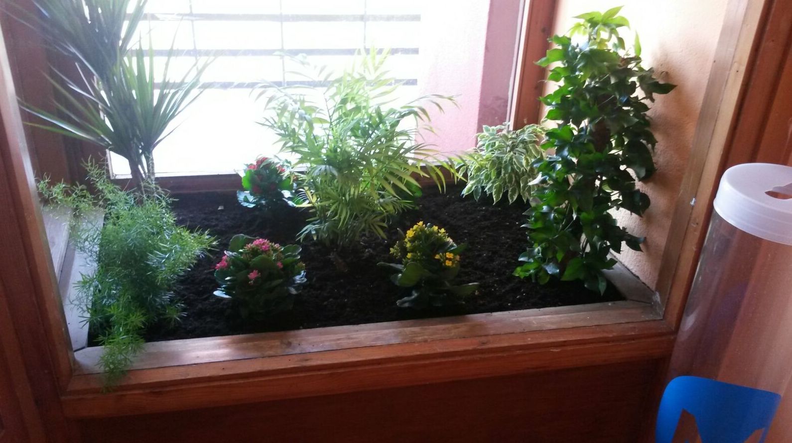 Decoración de interiores con plantas Decoración de interiores con plantas