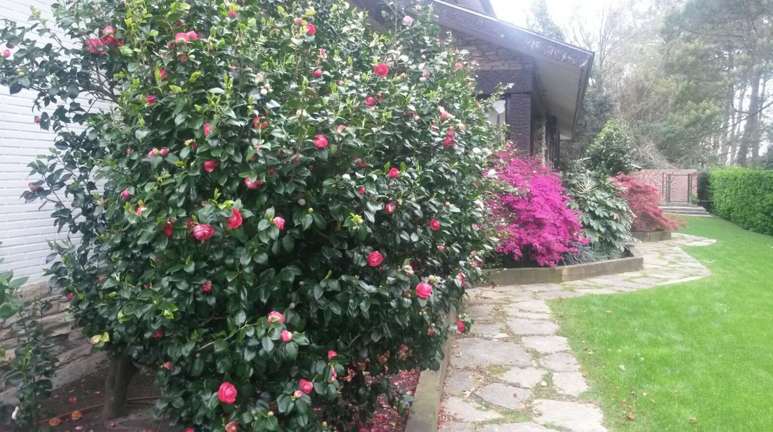 Mantenimiento de jardines: Servicios de Jardinería IGLE-MAN Mantenimiento de jardines: Servicios de Jardinería IGLE-MAN