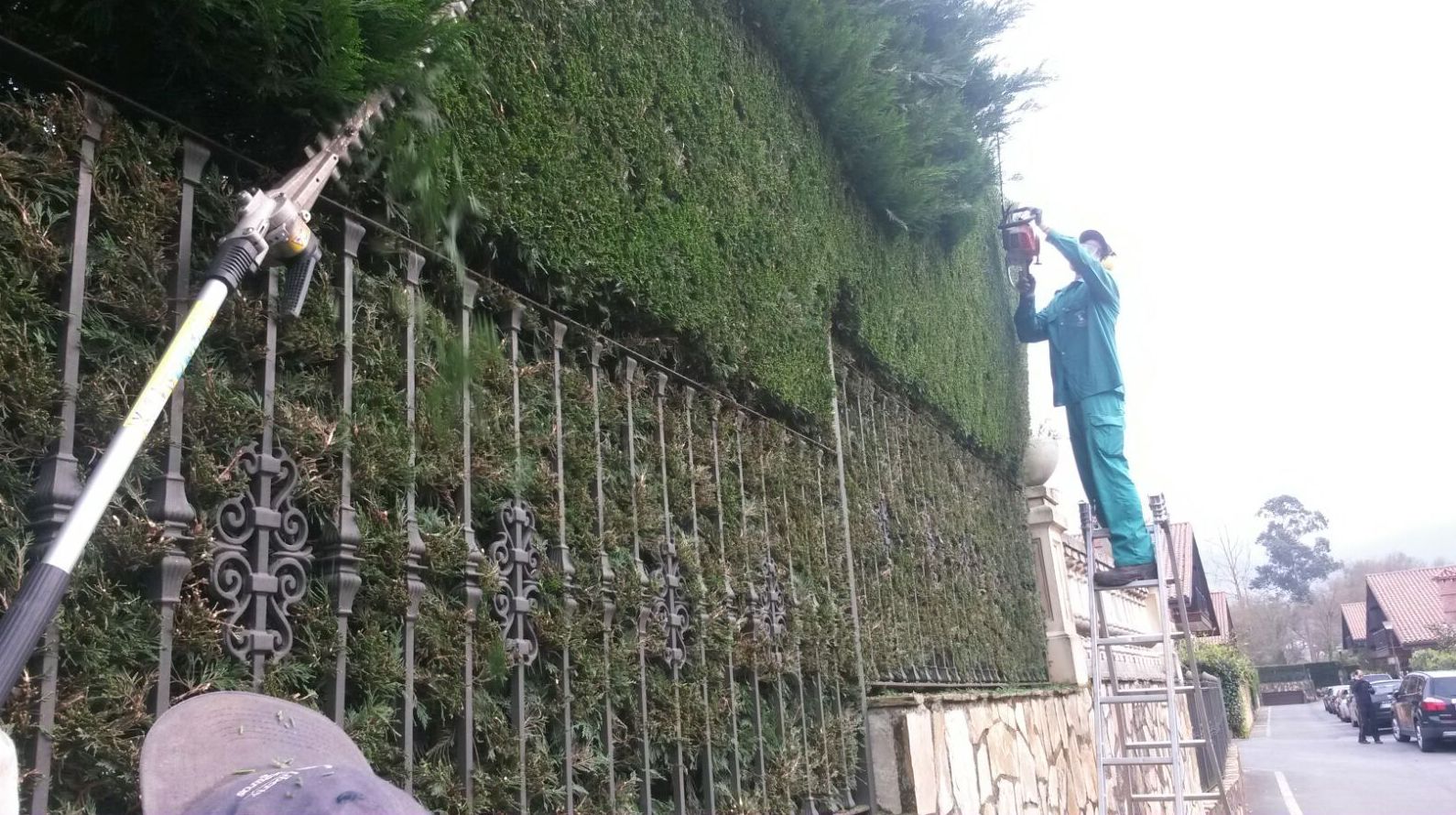 Podas y talas: Servicios de Jardinería IGLE-MAN Podas y talas: Servicios de Jardinería IGLE-MAN