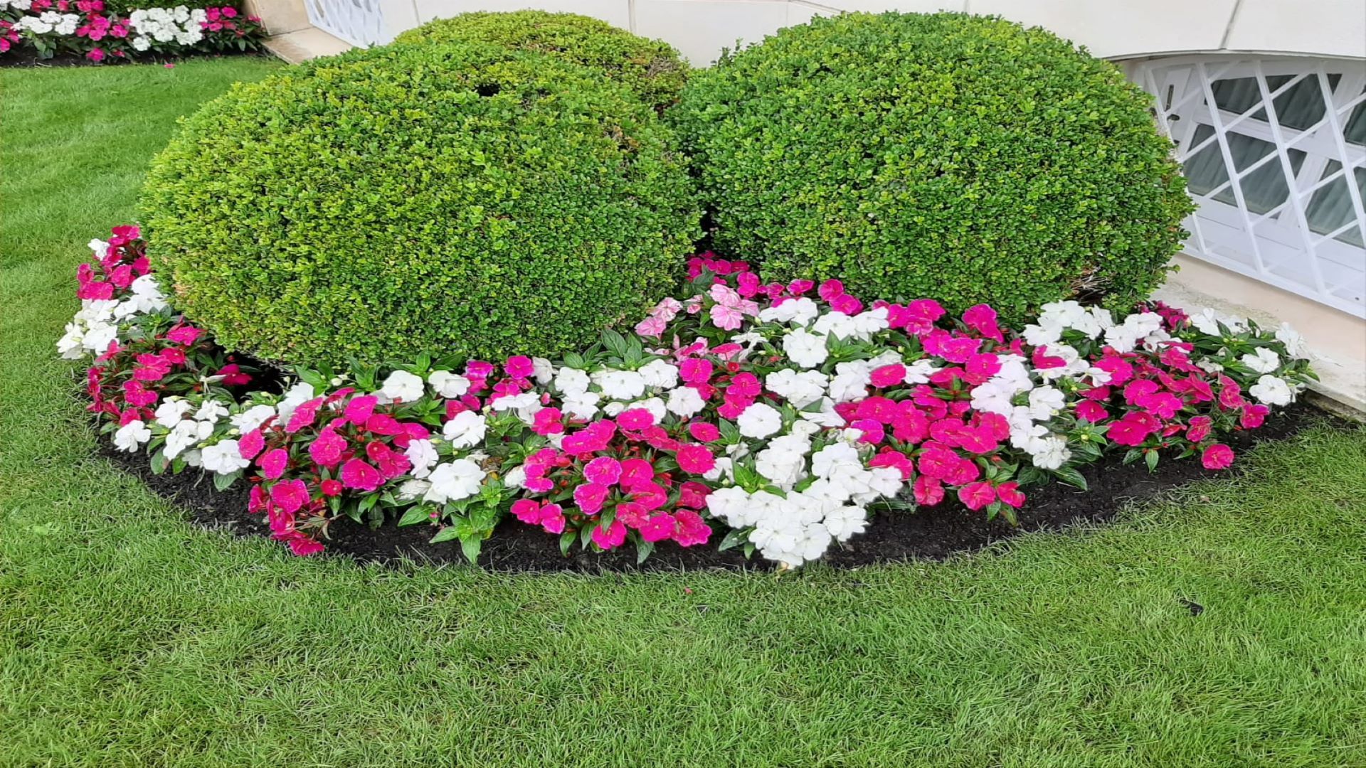 Decoración floral: Servicios de Jardinería IGLE-MAN Decoración floral: Servicios de Jardinería IGLE-MAN