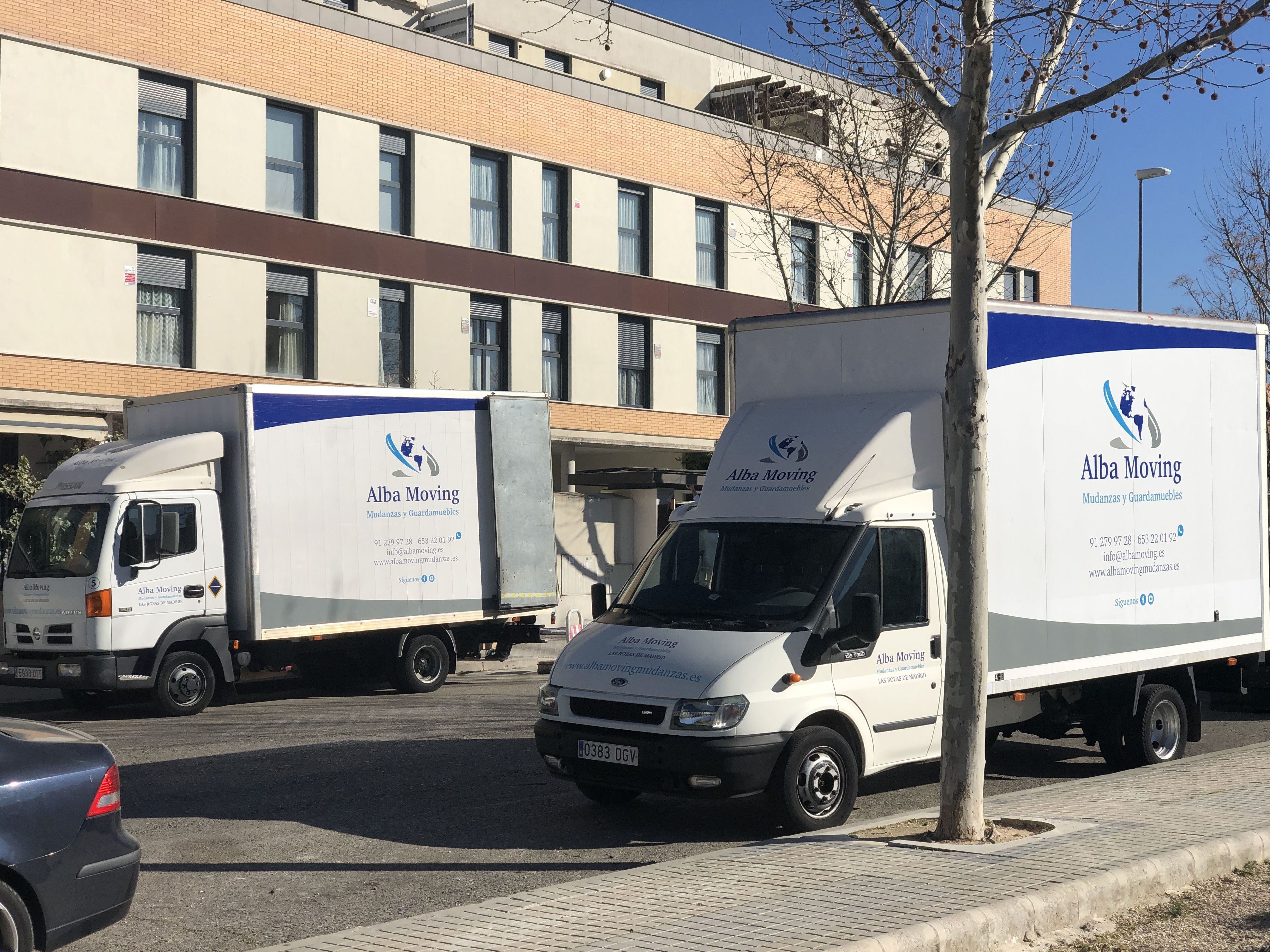 Mudanzas: Servicios de Alba Moving Mudanzas y Guardamuebles Mudanzas: Servicios de Alba Moving Mudanzas y Guardamuebles