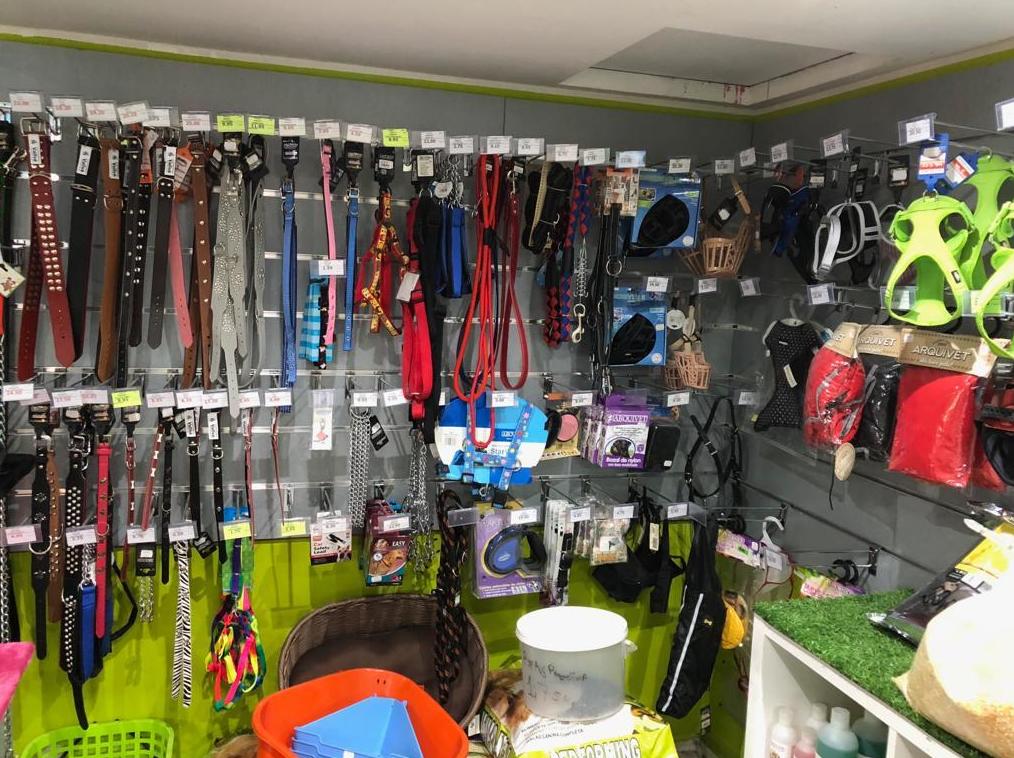 Ven a nuestra tienda: Catálogo de Reptil Parc Ven a nuestra tienda: Catálogo de Reptil Parc
