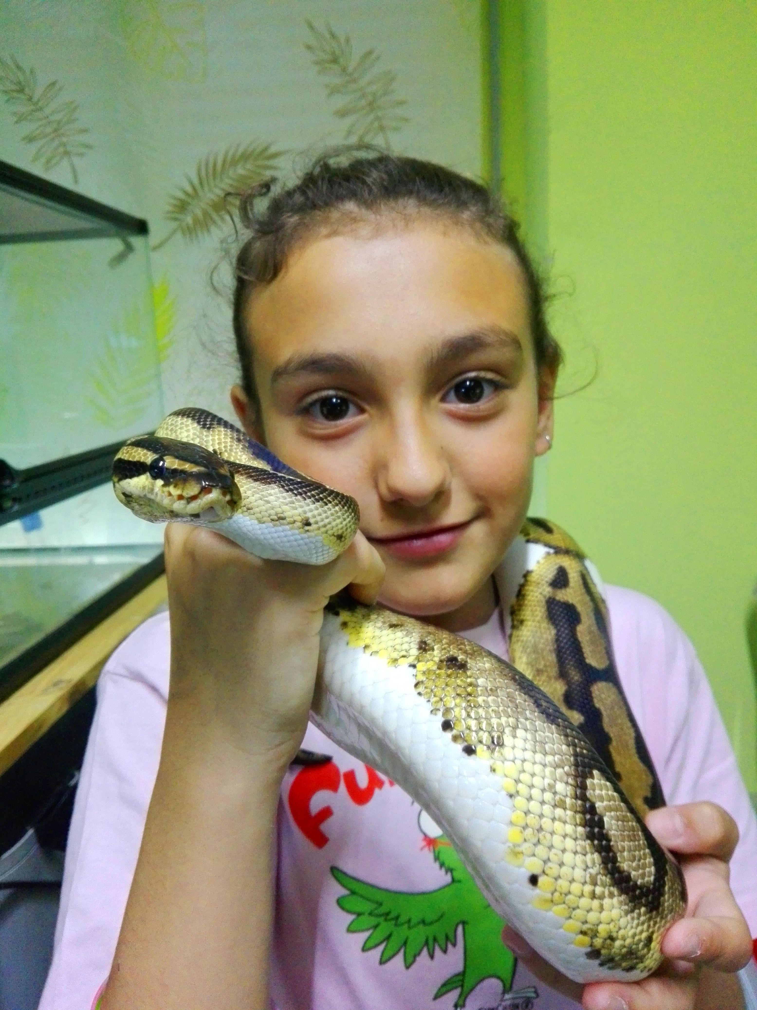 Foto 27 de Tienda de animales exóticos en Viladecans | Reptil Parc