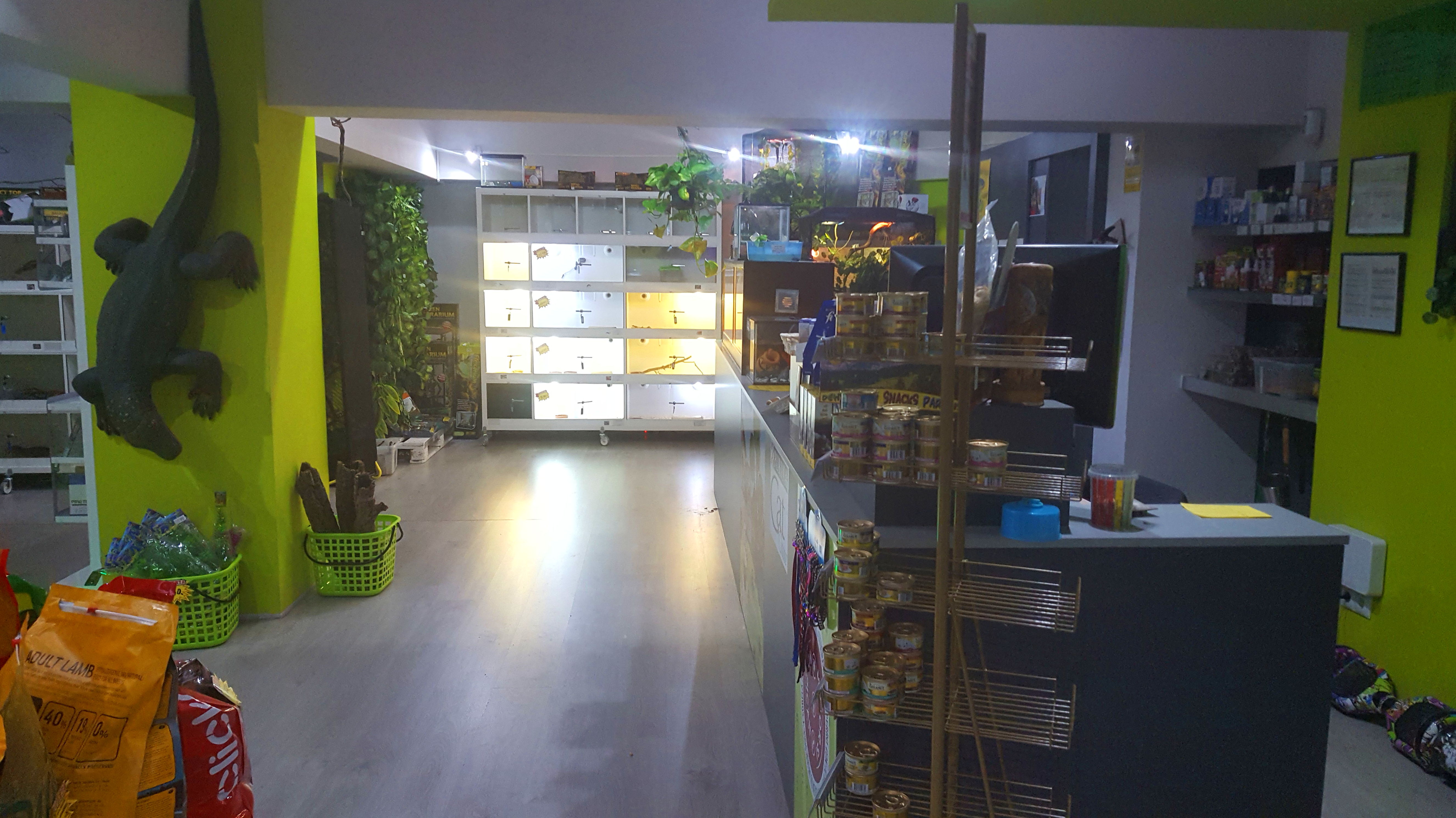 Servicio de hotel: Catálogo de Reptil Parc Servicio de hotel: Catálogo de Reptil Parc