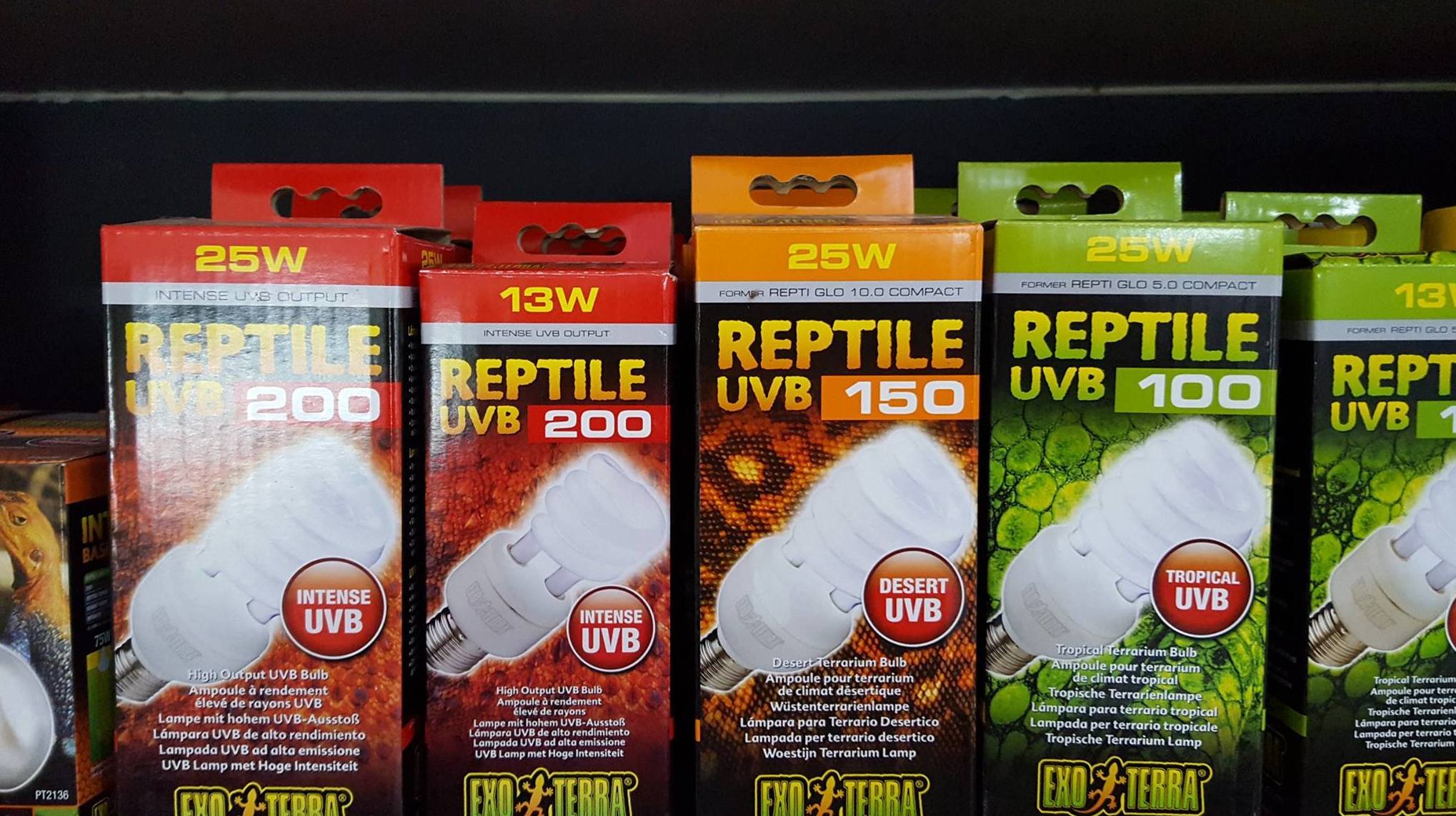 Luces para reptiles 