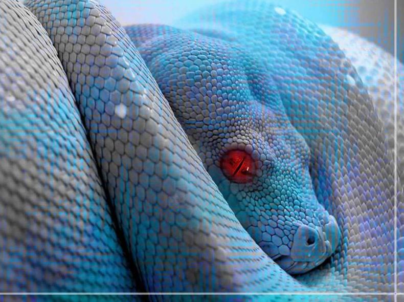 Servicio de veterinario: Catálogo de Reptil Parc Servicio de veterinario: Catálogo de Reptil Parc