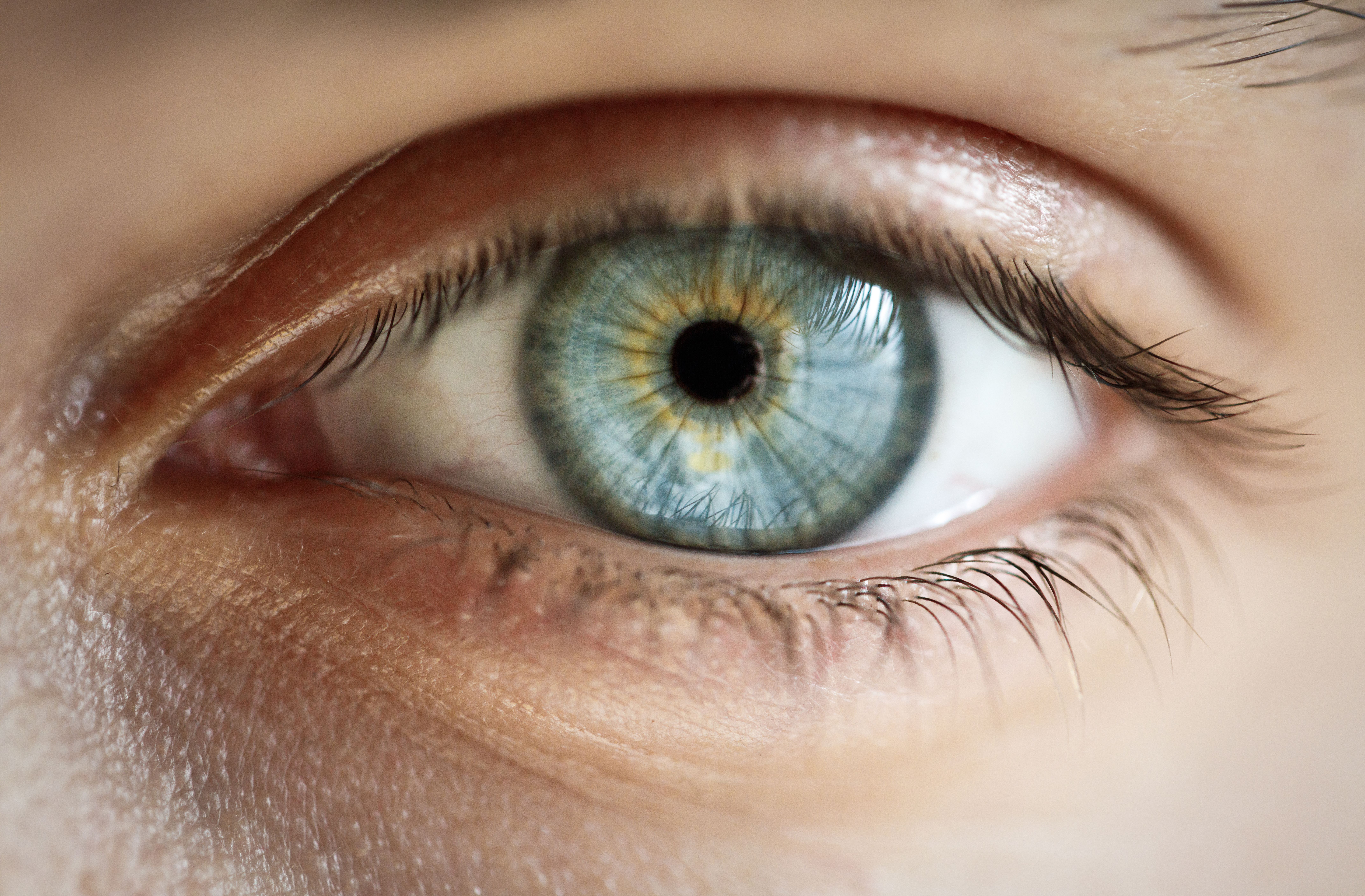 ¿Pasa algo si llevas lentillas o gafas?: Preguntas frecuentes-Servicios de Felinas Lash ¿Pasa algo si llevas lentillas o gafas?: Preguntas frecuentes-Servicios de Felinas Lash