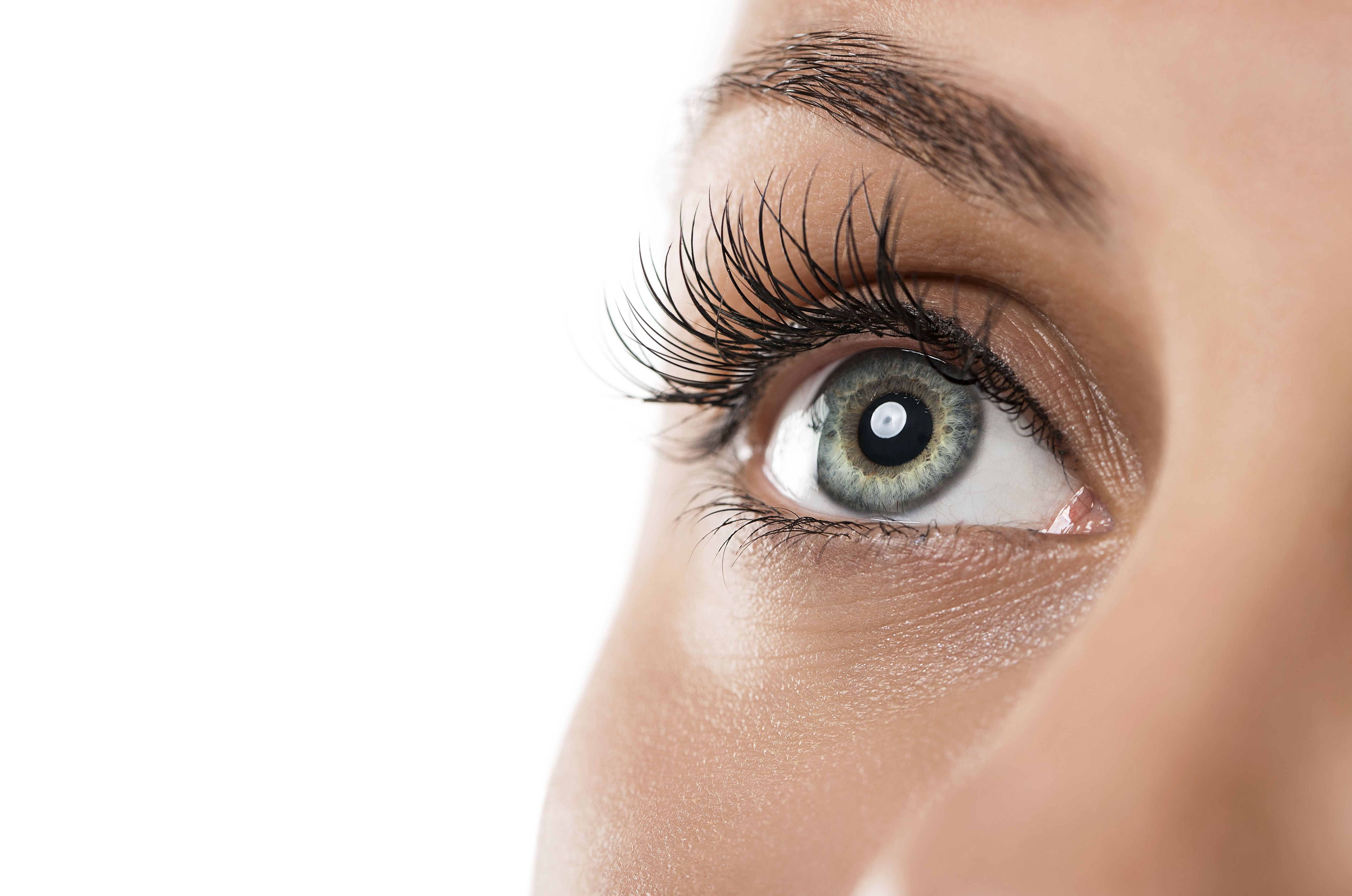 ¿Cómo se hace?: Preguntas frecuentes-Servicios de Felinas Lash ¿Cómo se hace?: Preguntas frecuentes-Servicios de Felinas Lash