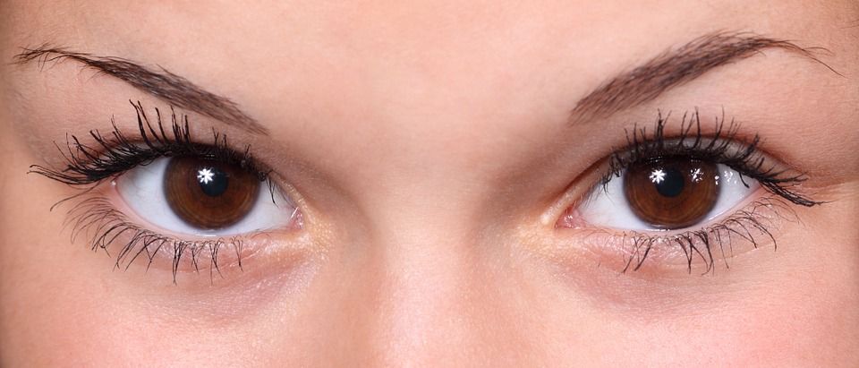 ¿Se pueden maquillar?: Preguntas frecuentes-Servicios de Felinas Lash ¿Se pueden maquillar?: Preguntas frecuentes-Servicios de Felinas Lash