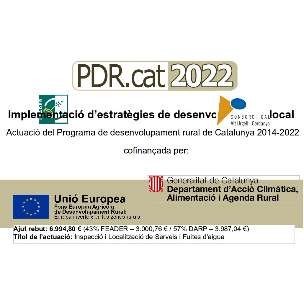 Implementación de estrategias de desarrollo local: Servicios de CR INSPECCIÓ Implementación de estrategias de desarrollo local: Servicios de CR INSPECCIÓ