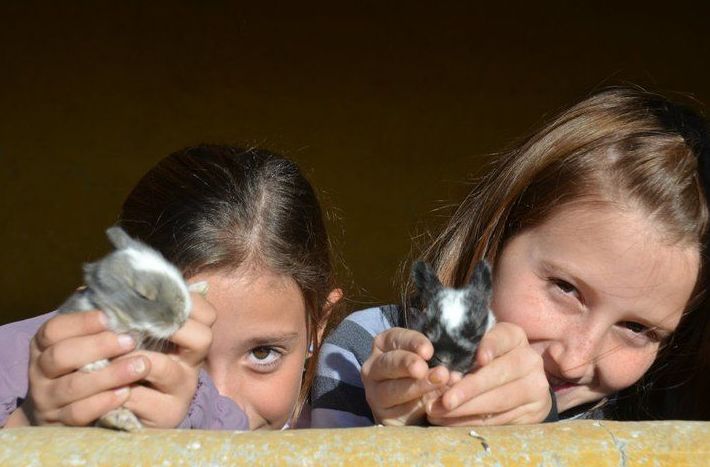 Fiestas de primera comunión: Servicios de Club Hípico de Cenes Fiestas de primera comunión: Servicios de Club Hípico de Cenes