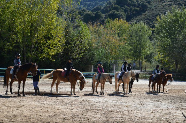cumpleaños con ponis cumpleaños con ponis