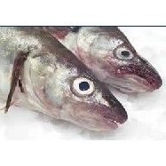 Peces de cultivo: Productos de Whitelink Seafood Limited Peces de cultivo: Productos de Whitelink Seafood Limited