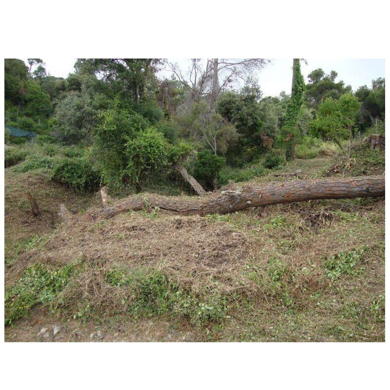 Compra terrenos y solares en todas las poblaciones Compra terrenos y solares en todas las poblaciones