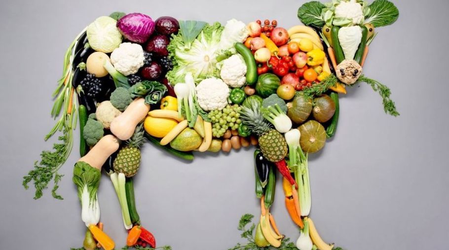 MENÚ VEGANO: Nuestra carta de Restaurante Pepito La Flor MENÚ VEGANO: Nuestra carta de Restaurante Pepito La Flor