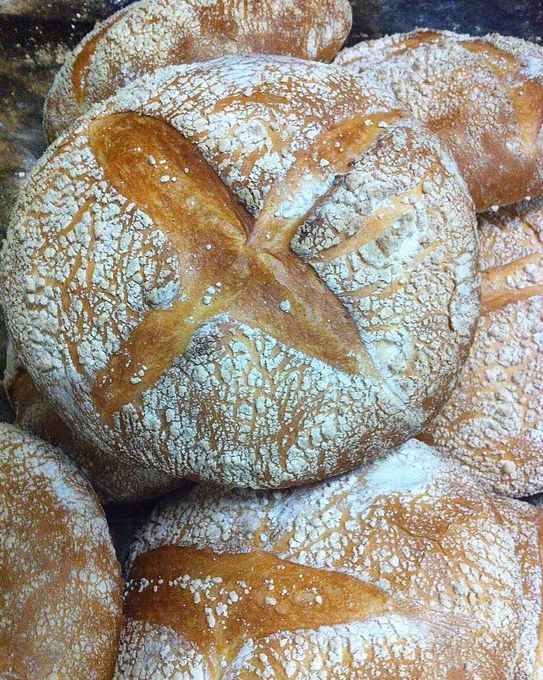 Pan: Catálogo de Panadería y Pastelería Mariano Calleja Pan: Catálogo de Panadería y Pastelería Mariano Calleja