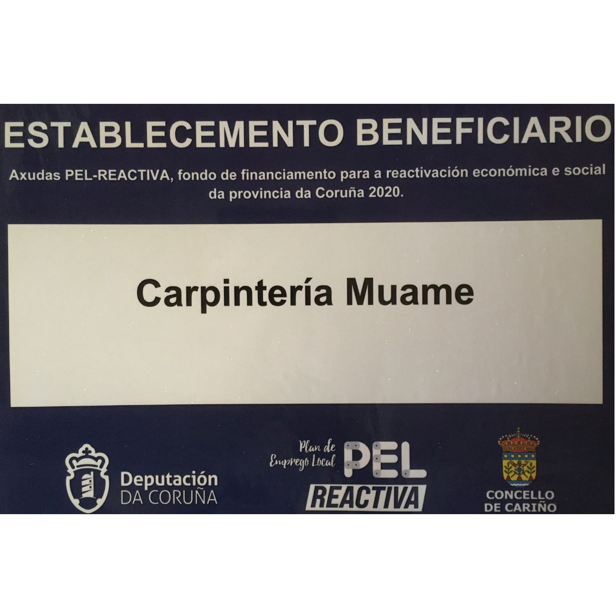 Ayudas Pel Reactiva: Servicios de Muame Ayudas Pel Reactiva: Servicios de Muame