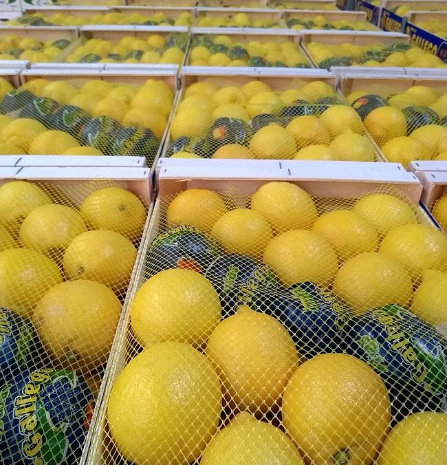 Distribución: Productos y servicios de Agriocítricos Hermanos Gallego Distribución: Productos y servicios de Agriocítricos Hermanos Gallego