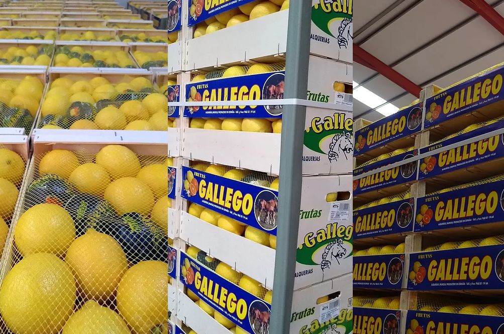 Empaquetado: Productos y servicios de Agriocítricos Hermanos Gallego Empaquetado: Productos y servicios de Agriocítricos Hermanos Gallego