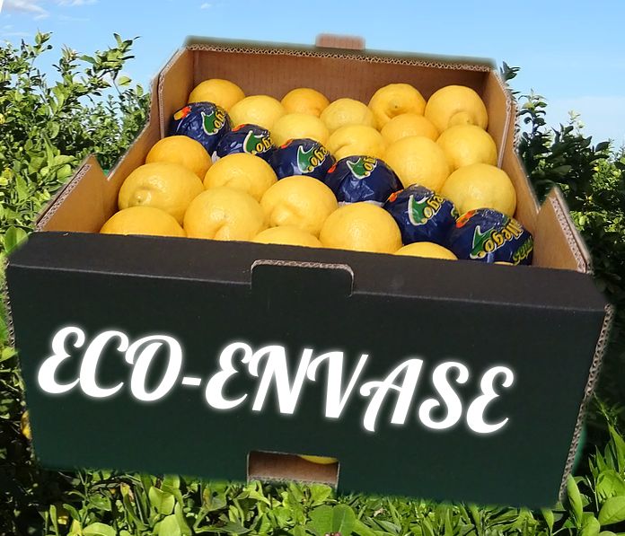 Eco-envase: Productos y servicios de Agriocítricos Hermanos Gallego Eco-envase: Productos y servicios de Agriocítricos Hermanos Gallego