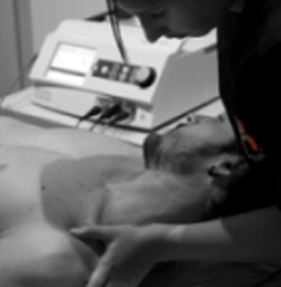 Terapia manual : Tratamientos de Activa't Terapia manual : Tratamientos de Activa't