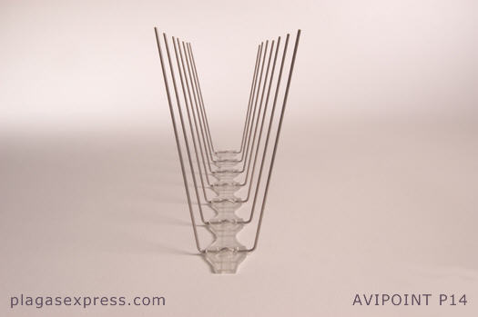 Pinchos palomas Avipoint P14 Pinchos palomas Avipoint P14