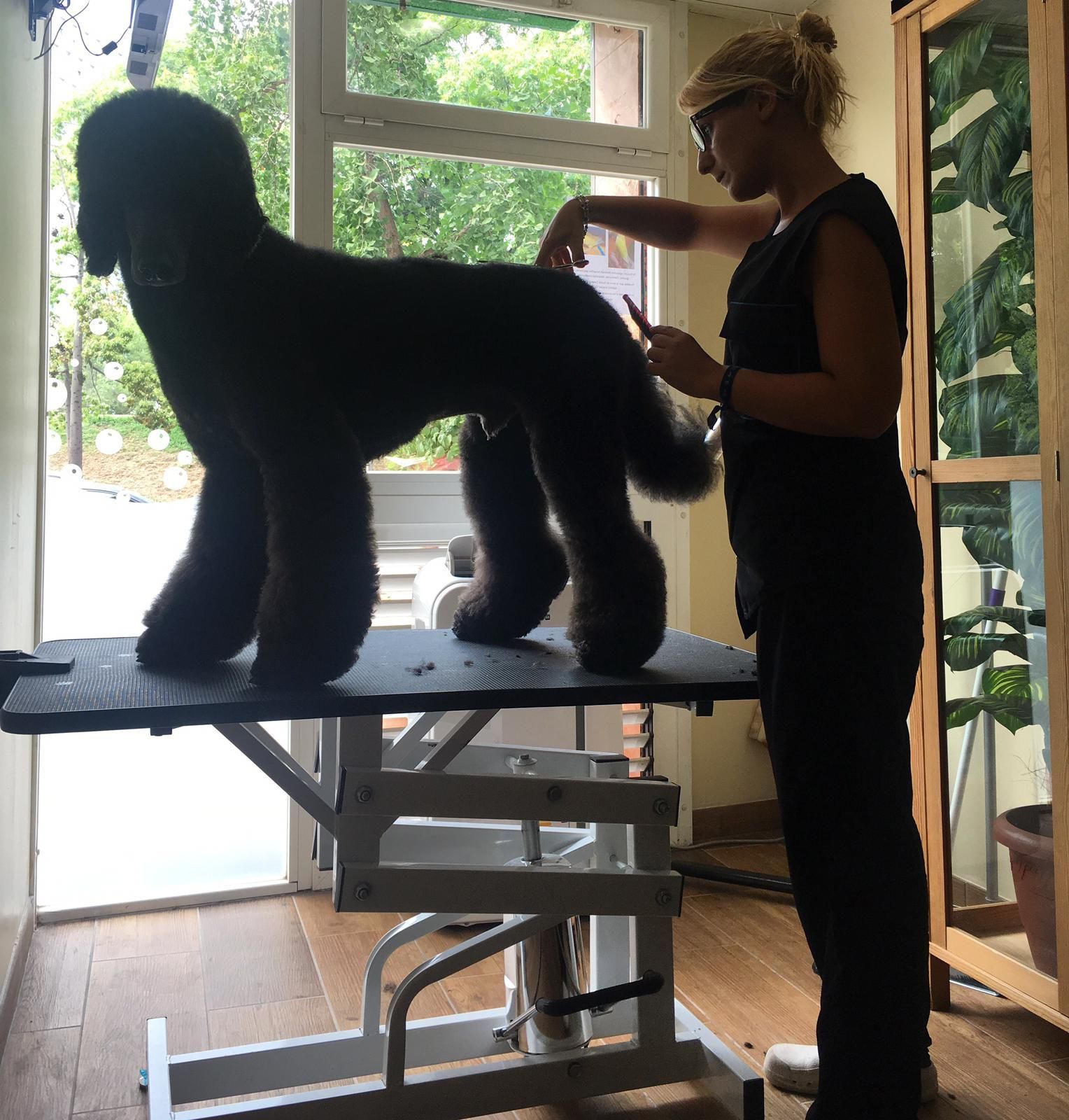 Spa y peluquería: Servicios de Centro Neo Spa y peluquería: Servicios de Centro Neo