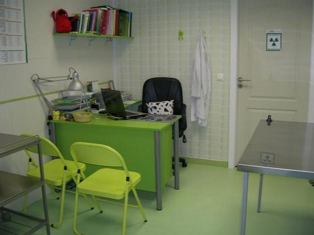 Medicina: Servicios de Centre Veterinari de la Plana Medicina: Servicios de Centre Veterinari de la Plana