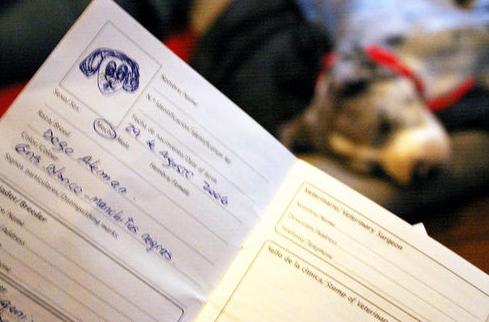 Documentos y certificados: Servicios de Centre Veterinari de la Plana Documentos y certificados: Servicios de Centre Veterinari de la Plana