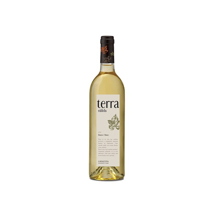 Vino Terra Cálida: Productos de Rossello y Rossello, S.L Vino Terra Cálida: Productos de Rossello y Rossello, S.L