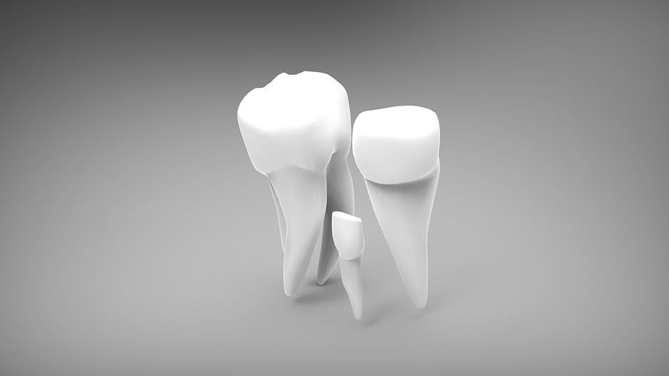 Prótesis: Catálogo de Clínica Dental Mª Teresa Garrido Prótesis: Catálogo de Clínica Dental Mª Teresa Garrido