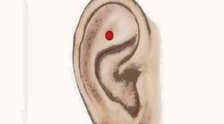 Auriculoterapia: Sesiones de Sesiones Energéticas Paloma Carbonell Auriculoterapia: Sesiones de Sesiones Energéticas Paloma Carbonell