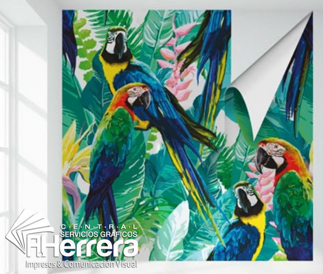 Papel Pintado Papel Pintado