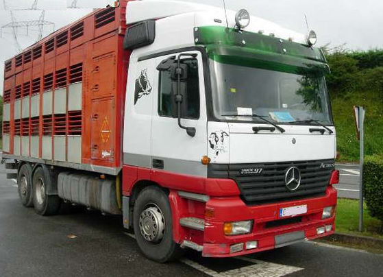 Transporte de Animales Irazola en Vizcaya