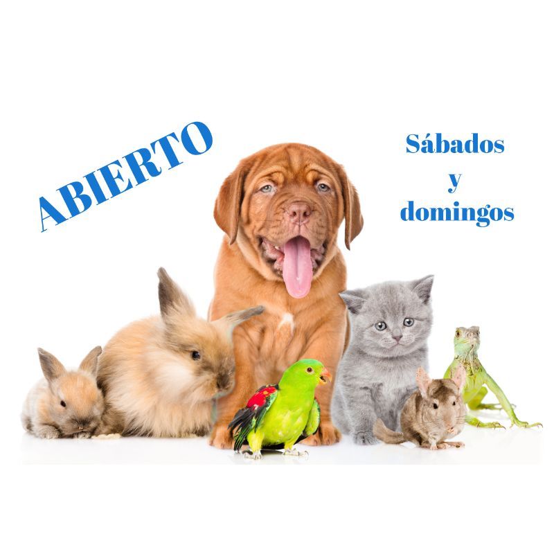 Veterinario abierto los sábados y domingos en Madrid Veterinario abierto los sábados y domingos en Madrid