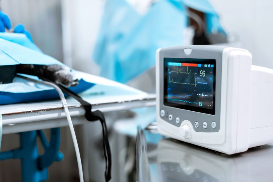 Cirugía y hospitalización: Servicios especializados de Centro Veterinario Vetersalud Carabanchel Alto Cirugía y hospitalización: Servicios especializados de Centro Veterinario Vetersalud Carabanchel Alto