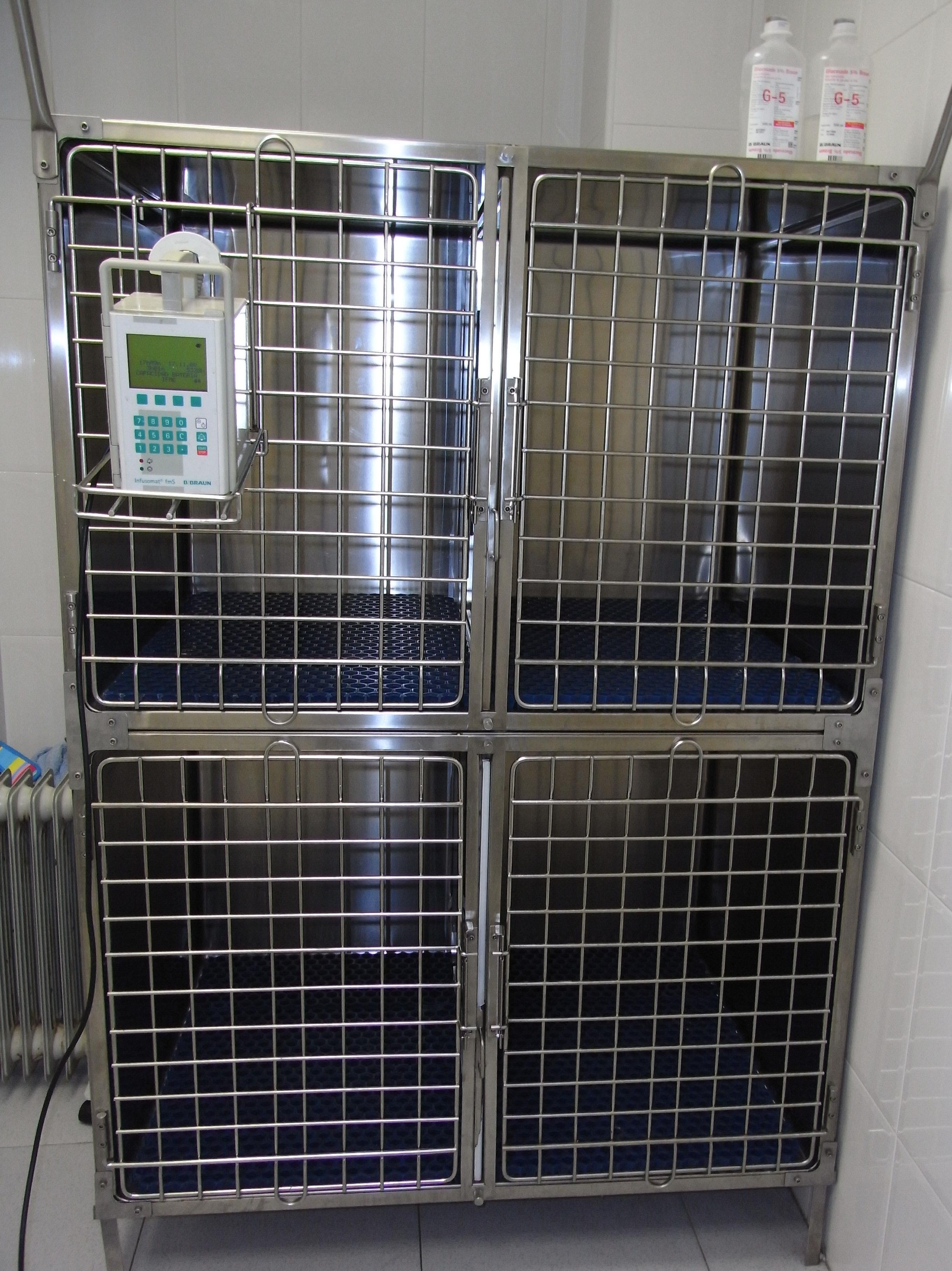 HOSPITALIZACIÓN Y URGENCIAS VETERINARIAS HOSPITALIZACIÓN Y URGENCIAS VETERINARIAS