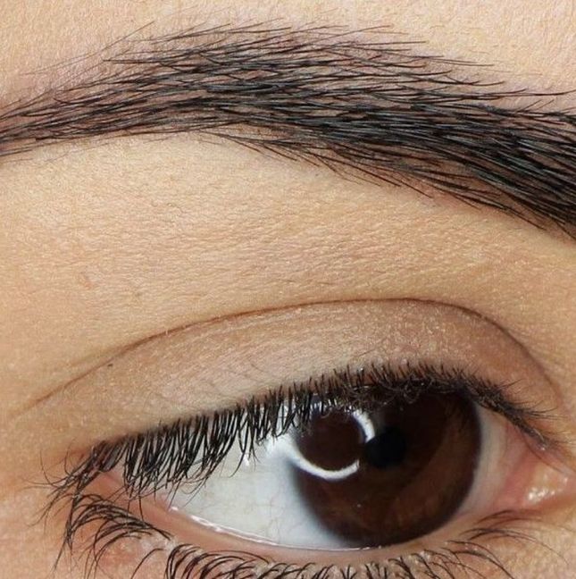 Cejas: Nuestros cuidados de Estética alur Estetika Cejas: Nuestros cuidados de Estética alur Estetika