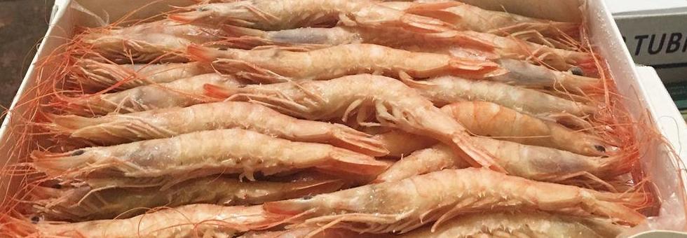 Mariscos congelados: Mayorista de marisco de Mejymar Mariscos congelados: Mayorista de marisco de Mejymar