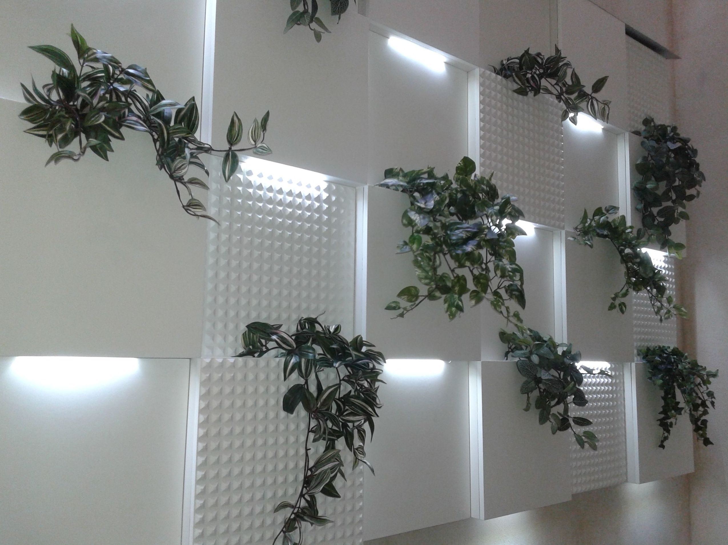 Javier Perez dentista - Pared vegetal