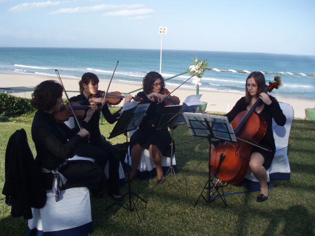 Cuarteto de cuerda: Servicios de Mar Espectáculos Cuarteto de cuerda: Servicios de Mar Espectáculos