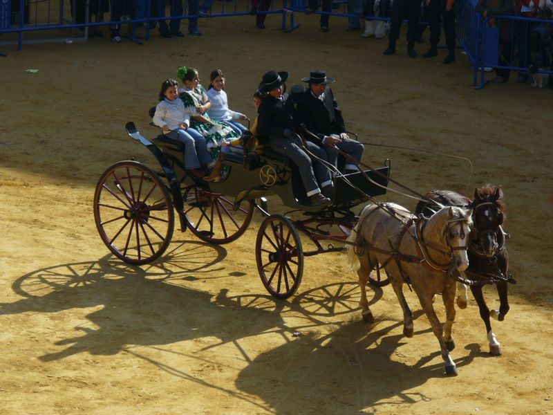 Exhibiciones ecuestres: Servicios de Mar Espectáculos Exhibiciones ecuestres: Servicios de Mar Espectáculos