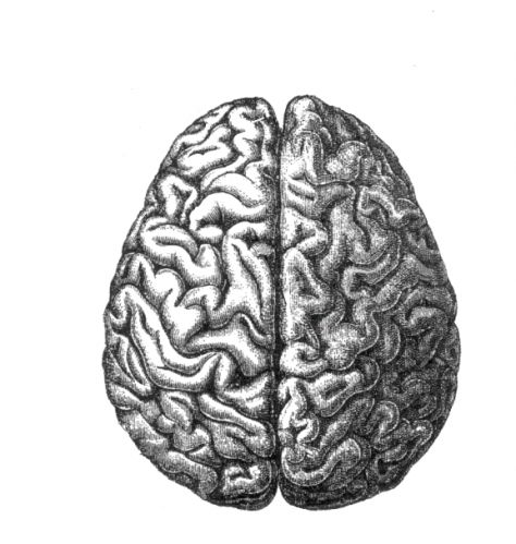 Neuropsicología Neuropsicología