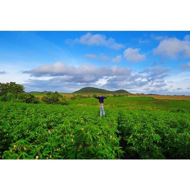 Fitosanitarios: Productos y Servicios de Comercial Hoznayo, S.L. Fitosanitarios: Productos y Servicios de Comercial Hoznayo, S.L.