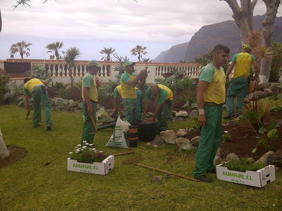 Construcción de jardines en Santa Cruz de Tenerife 