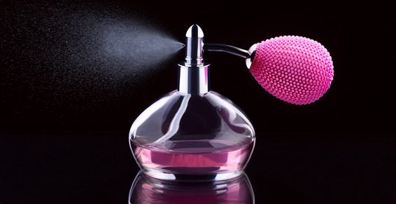 Cosmética infocativa que fusiona: Servicios de Mato Peluquería & Belleza Cosmética infocativa que fusiona: Servicios de Mato Peluquería & Belleza
