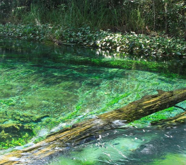 Legalización de aguas: Servicios de Martínez y Asociados Legalización de aguas: Servicios de Martínez y Asociados